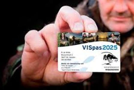 Vispas 2025